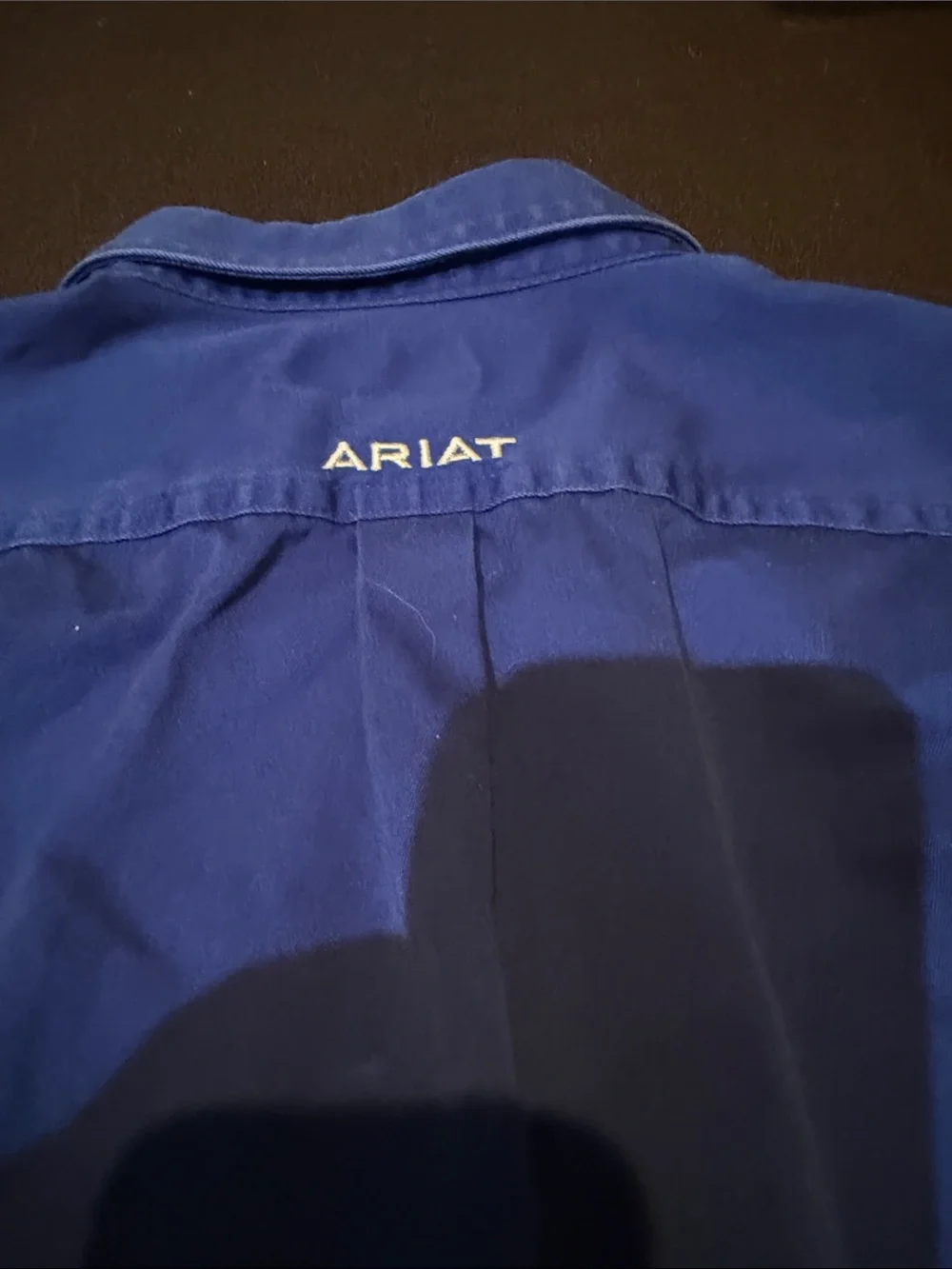 Ariat Men's Button-Down Shirt — Blue with White Logo